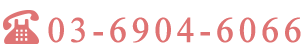 03-6904-6066